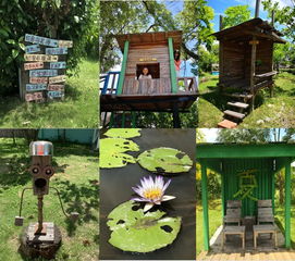 藝術(shù)點亮土溝 鄉(xiāng)村觀察 臺灣