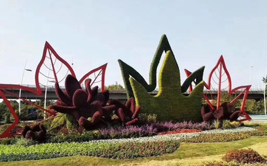 秀洲仿真綠雕五色草綠雕植物綠雕價格優(yōu)之林景觀