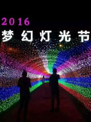 光影賦能，點亮景區新視界 探訪大型燈光藝術產品的制作、租售與景觀藝術融合